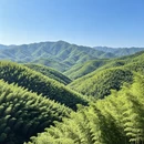 成都旅游 缩略图 3