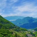 丽水旅游 缩略图 7