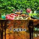 杭州旅游 缩略图 2