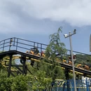 杭州旅游 缩略图 9