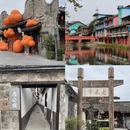 成都旅游 缩略图 4