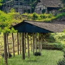 成都旅游 缩略图 9