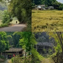 成都旅游 缩略图 7