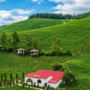湖州旅游 缩略图 11