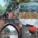 成都旅游 缩略图 3