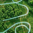 湖州旅游 缩略图 6