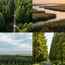 郑州旅游 缩略图 9