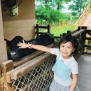 广州旅游 缩略图 9
