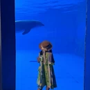 陵水黎族自治县旅游 缩略图 6