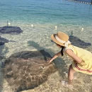 陵水黎族自治县旅游 缩略图 2