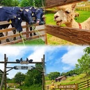 广州旅游 缩略图 12