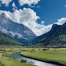 甘孜旅游 缩略图 4