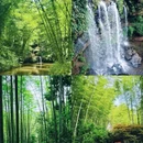成都旅游 缩略图 2