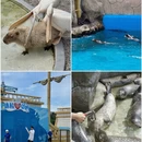 秦皇岛旅游 缩略图 16
