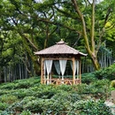 苏州旅游 缩略图 8