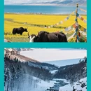 西安旅游 缩略图 1