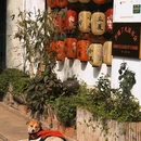 苏州旅游 缩略图 4