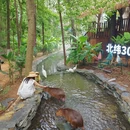 常州旅游 缩略图 3