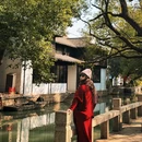 苏州旅游 缩略图 8