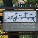 苏州旅游 缩略图 17