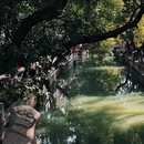 苏州旅游 缩略图 13