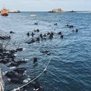 三亚旅游 缩略图 2