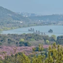 苏州旅游 缩略图 1