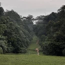 新加坡旅游 缩略图 3