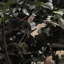 新加坡旅游 缩略图 6