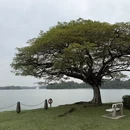 新加坡旅游 缩略图 2