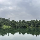 新加坡旅游 缩略图 14