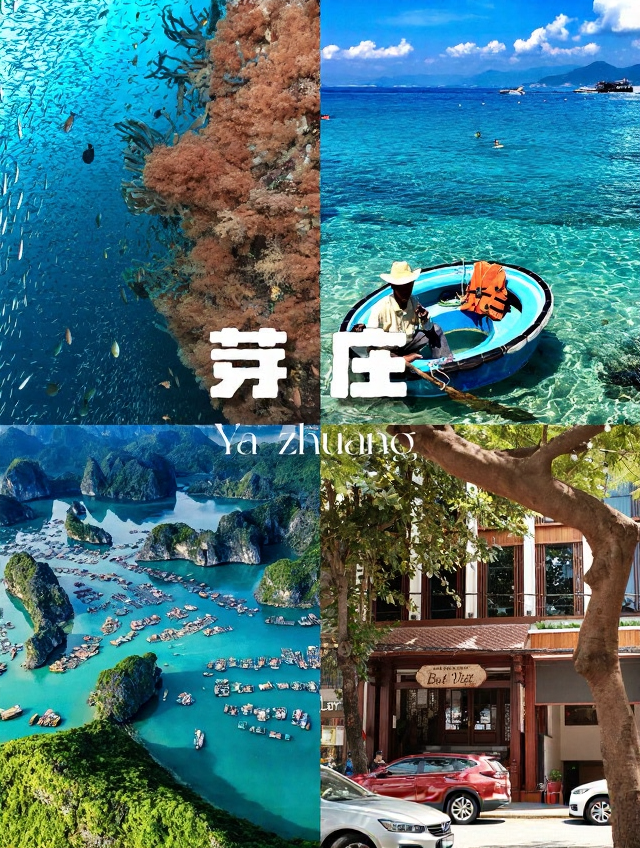 芽庄旅游
