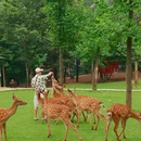 常州旅游 缩略图 9