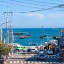 香港 - 中国旅游 缩略图 15