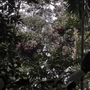 新加坡旅游 缩略图 5