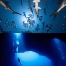 深圳旅游 缩略图 4
