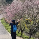 苏州旅游 缩略图 3