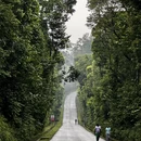 新加坡旅游 缩略图 1