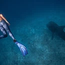 陵水黎族自治县旅游 缩略图 4
