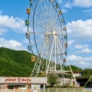 湖州旅游 缩略图 11