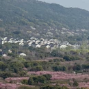 苏州旅游 缩略图 2