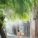 嘉兴旅游 缩略图 6
