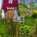 金华旅游 缩略图 4