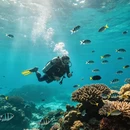 槟城旅游 缩略图 3