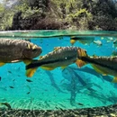 常州旅游 缩略图 3