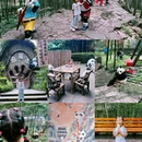 常州旅游 缩略图 7