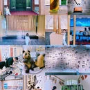 常州旅游 缩略图 6