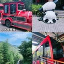 常州旅游 缩略图 3