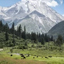甘孜旅游 缩略图 7