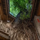 重庆旅游 缩略图 4
